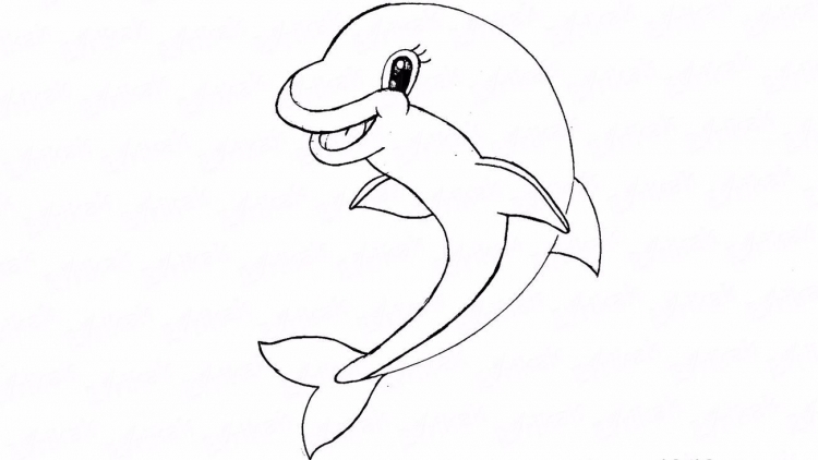 Дельфин рисунок карандашом для детей