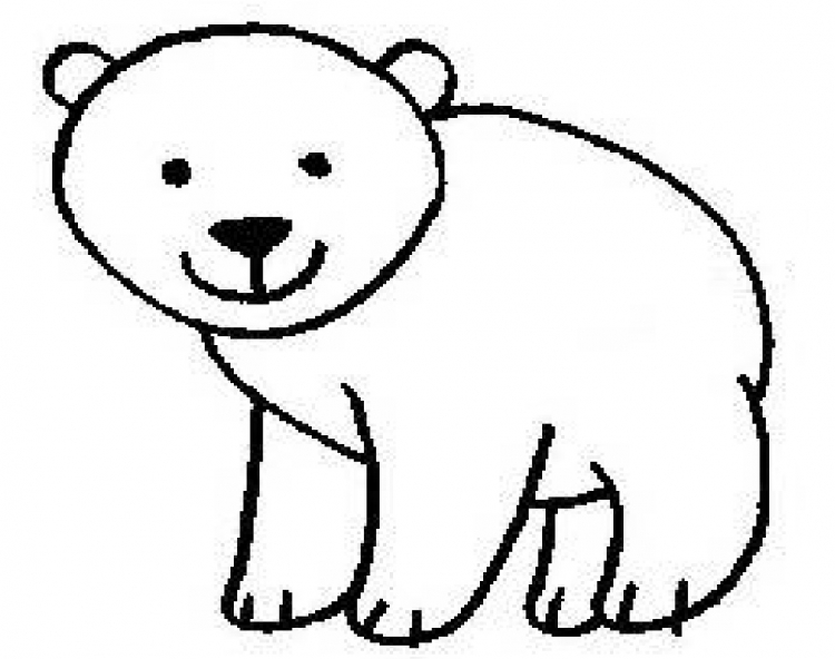 Белый медведь простым карандашом