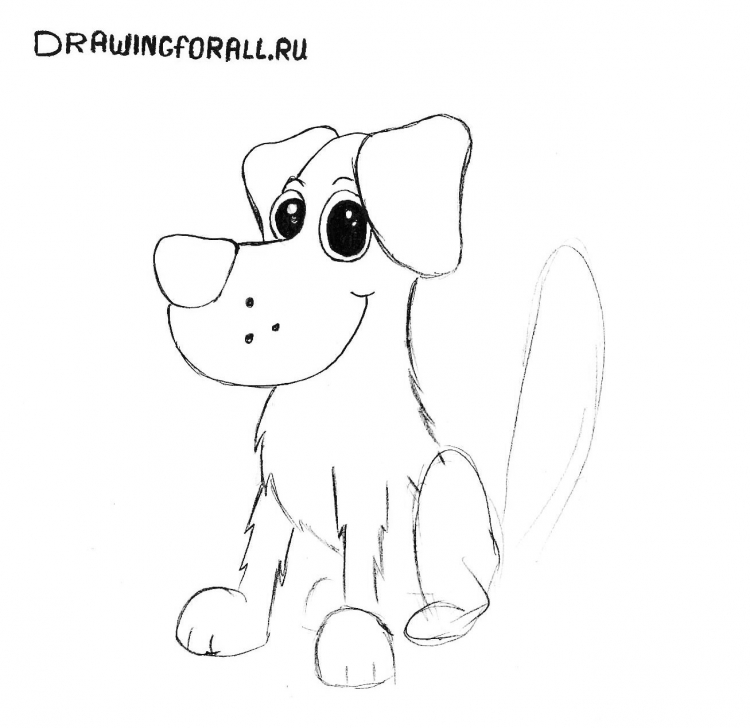 Рисунок щенка карандашом для детей