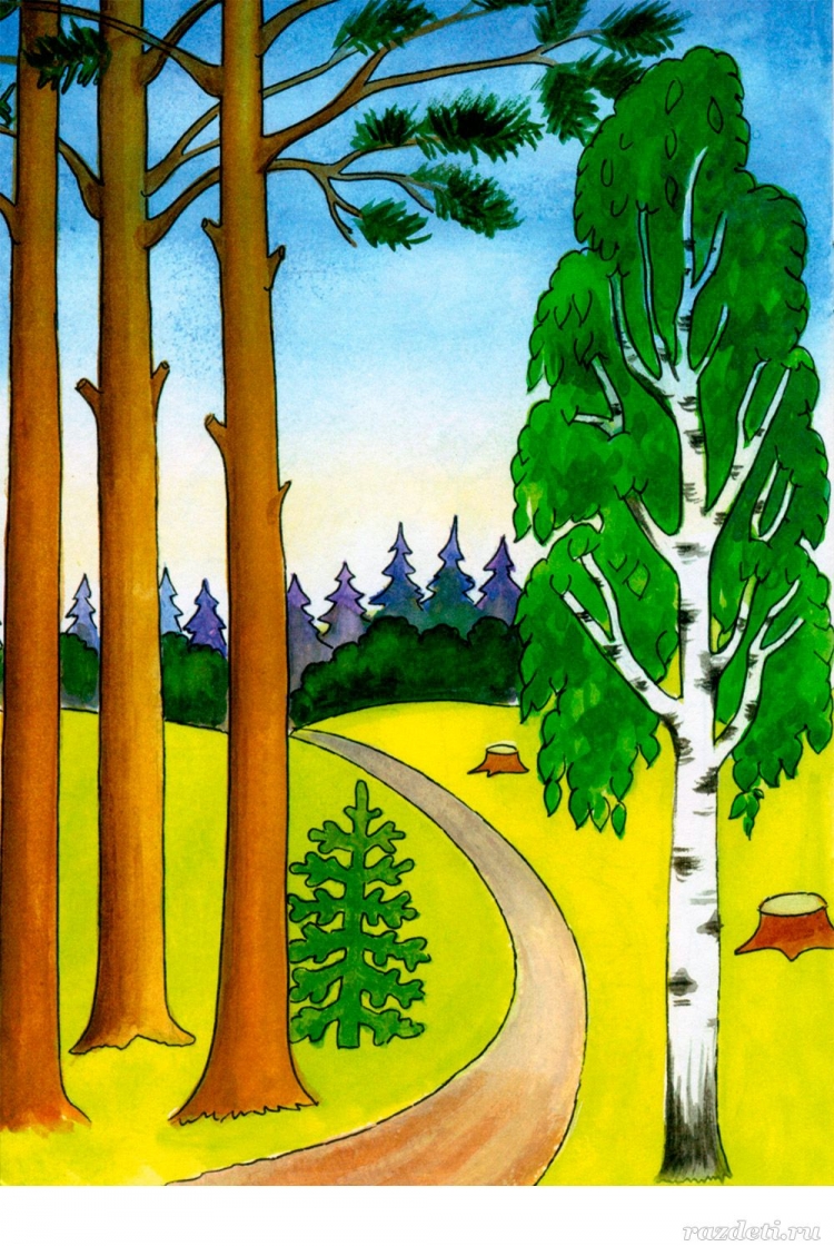 Лесная красота рисунок. Лес рисунок. Лес рисунок для детей. Рисунок леса для детей. Лес картинка для детей.
