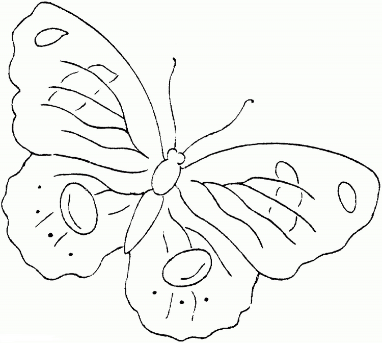 Бабочки рисунки для детей трафареты