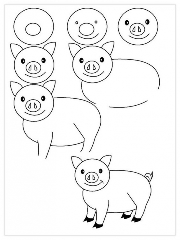 Свинья рисунок для детей карандашом