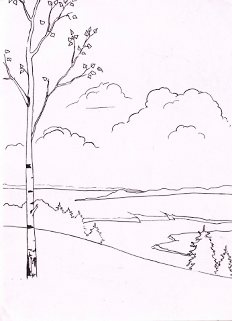 Эскиз весеннего пейзажа простым карандашом