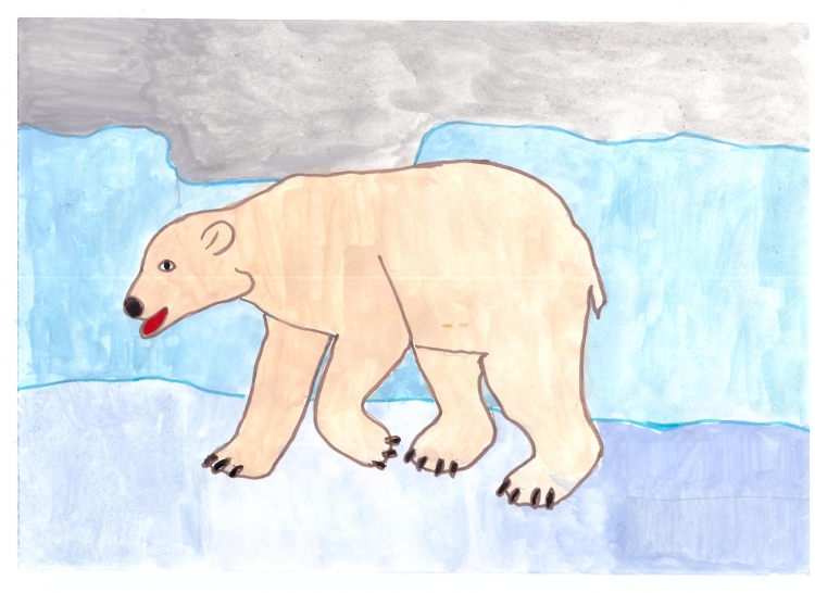 Лёгкие рисунки белого медведя