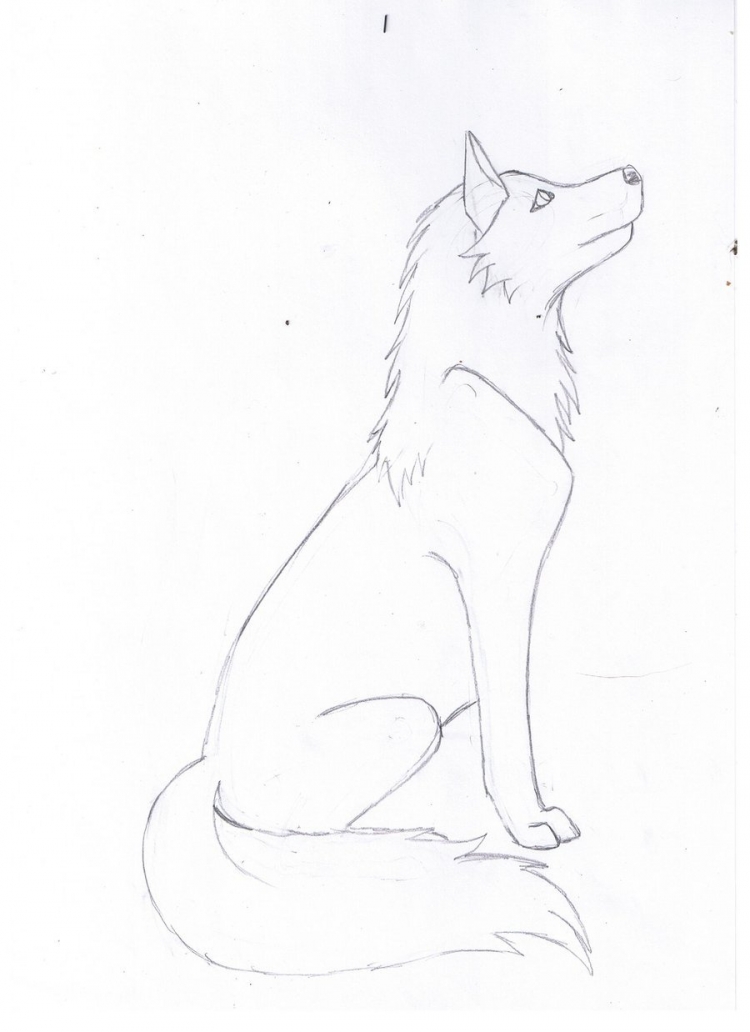 Рисунки карандашом для срисовки лёгкие волк
