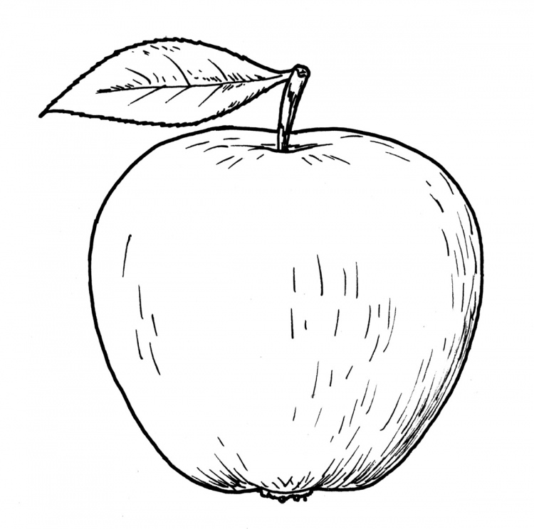 Яблоко карандашом для детей