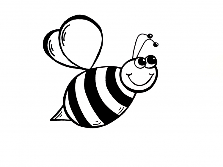 Пчелка рисунок для детей карандаш