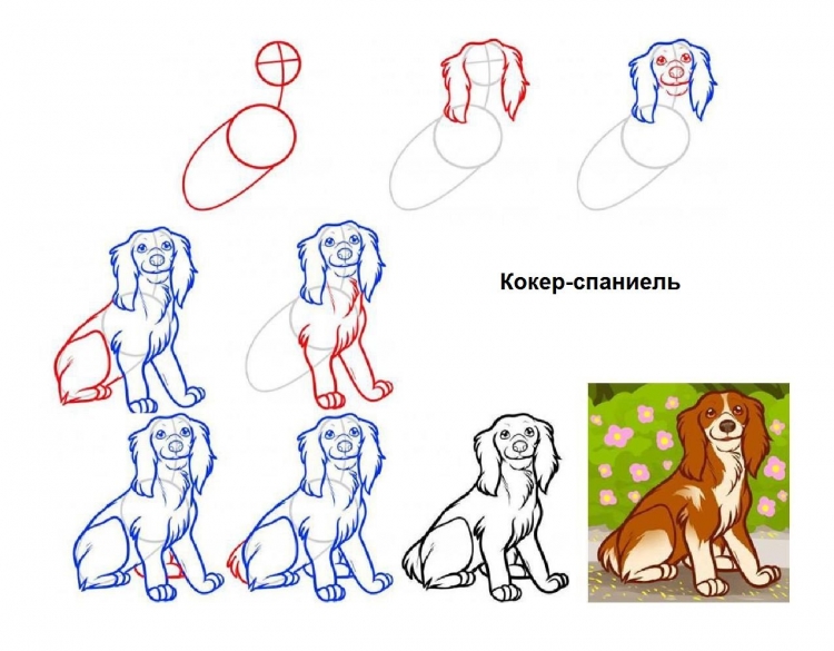 Этапы рисования собаки для детей