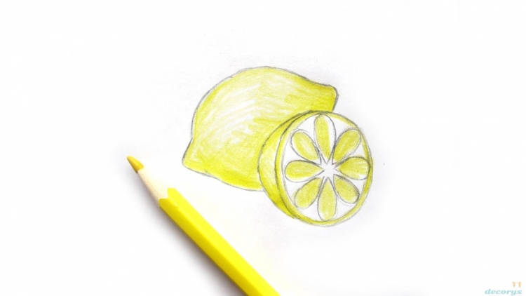 Лимон для срисовки легкие