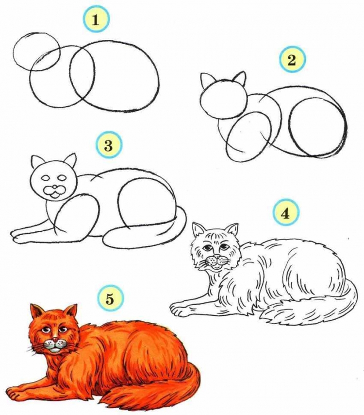 Схема рисования кота для детей
