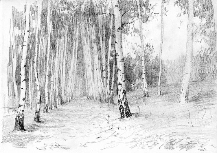 Лес рисунок