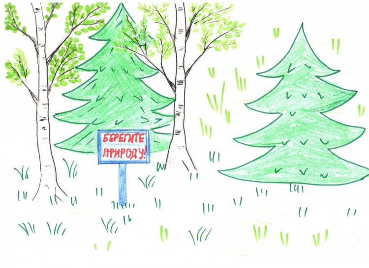 Рисунки лес легкие
