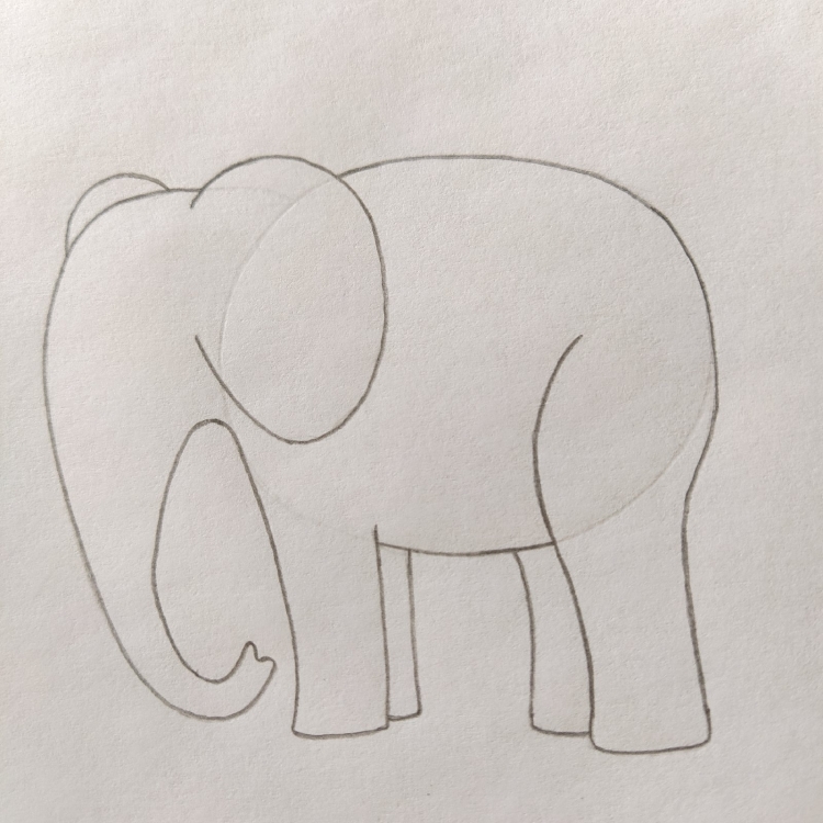 Рисунок слона карандашом легкие