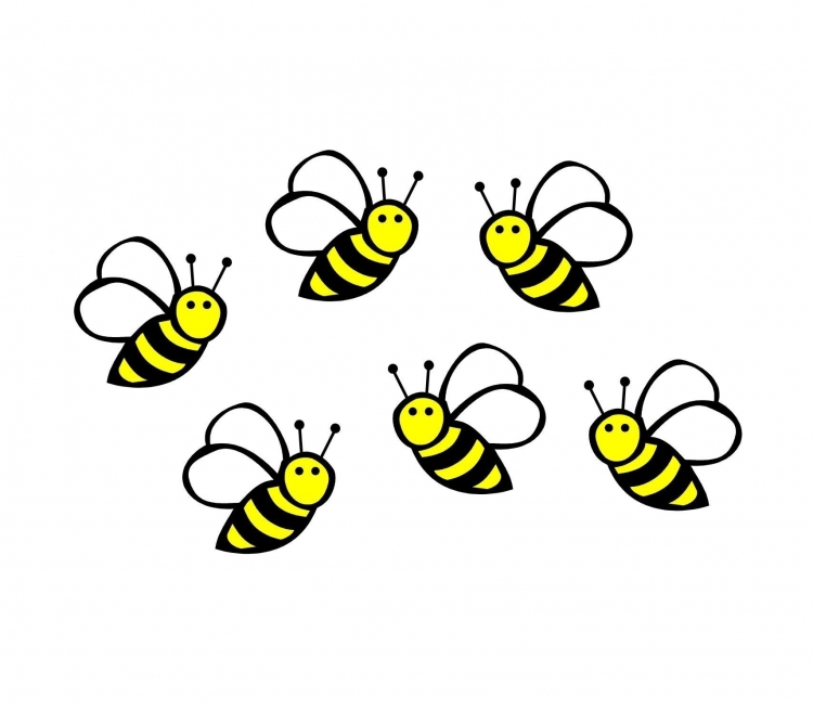 Легкие рисунки пчелы