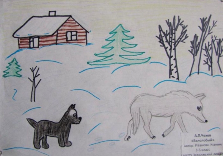 Белолобый Чехов рисунки детей