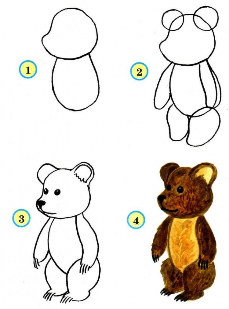 Медвежонок карандашом для детей