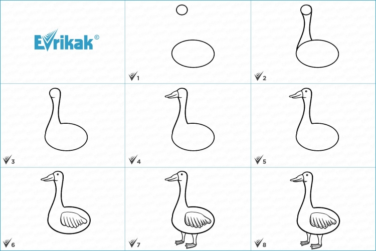 Рисунок пошагово Гусь для детей