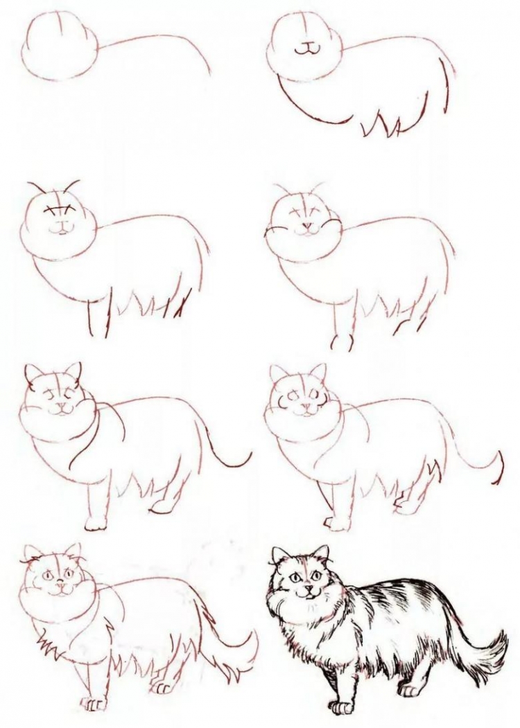 Кошка рисунок раскраска