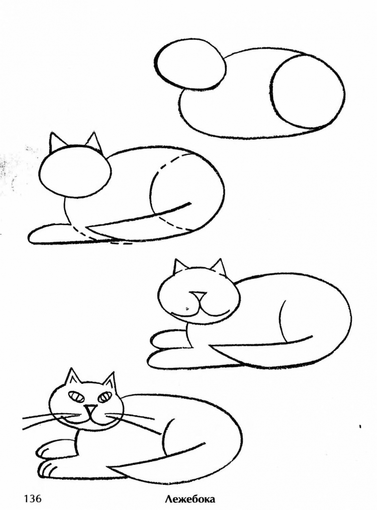 Кошка карандашом для срисовки