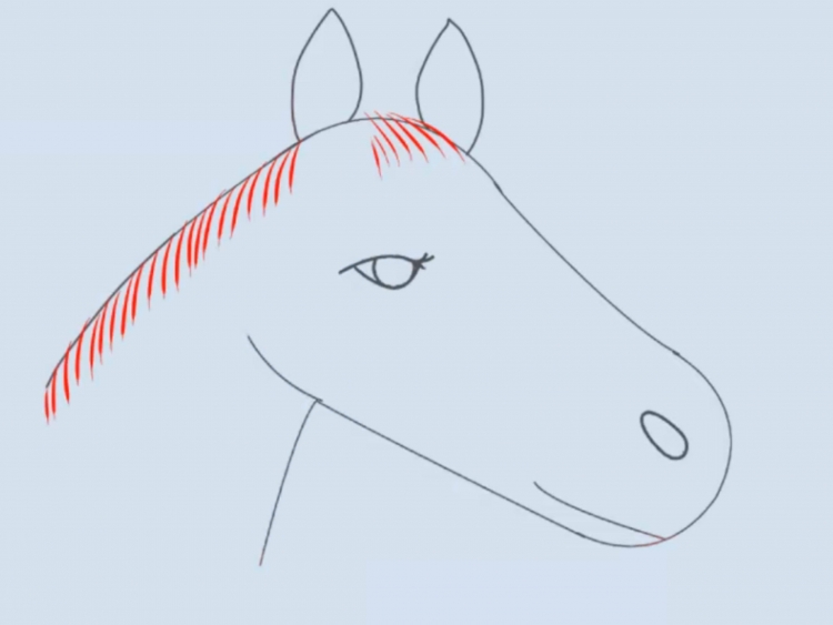 Морда лошади простым карандашом