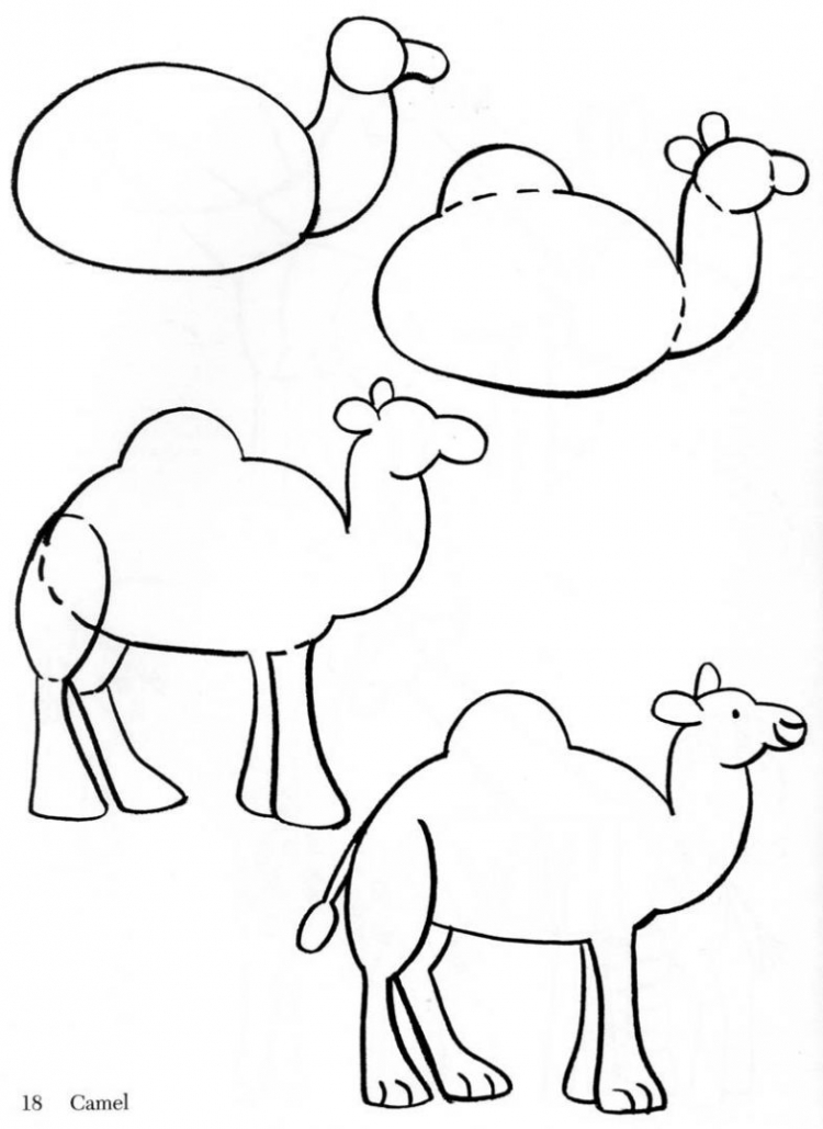 Схема рисования верблюда для детей