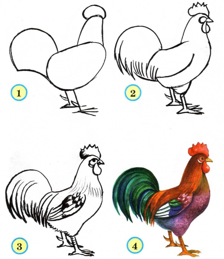 Схема рисования курицы для детей