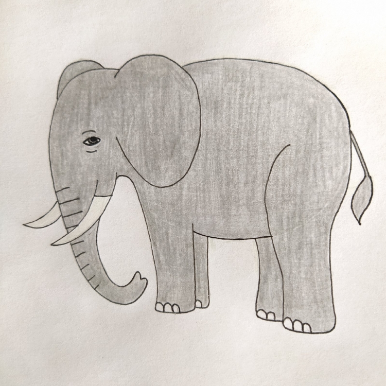 Детский рисунок слона карандашом
