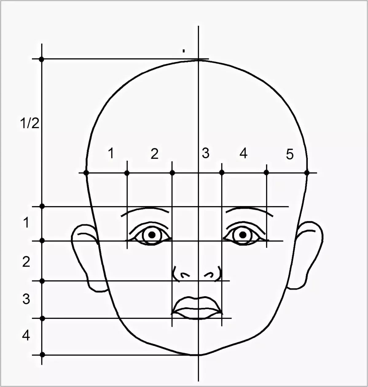 Лицо рисунок схема. Пропорции лица ребенка схема. Лицо человека рисунок схема. Разметка лица для рисования. Пропорции лица ребенка для рисования.