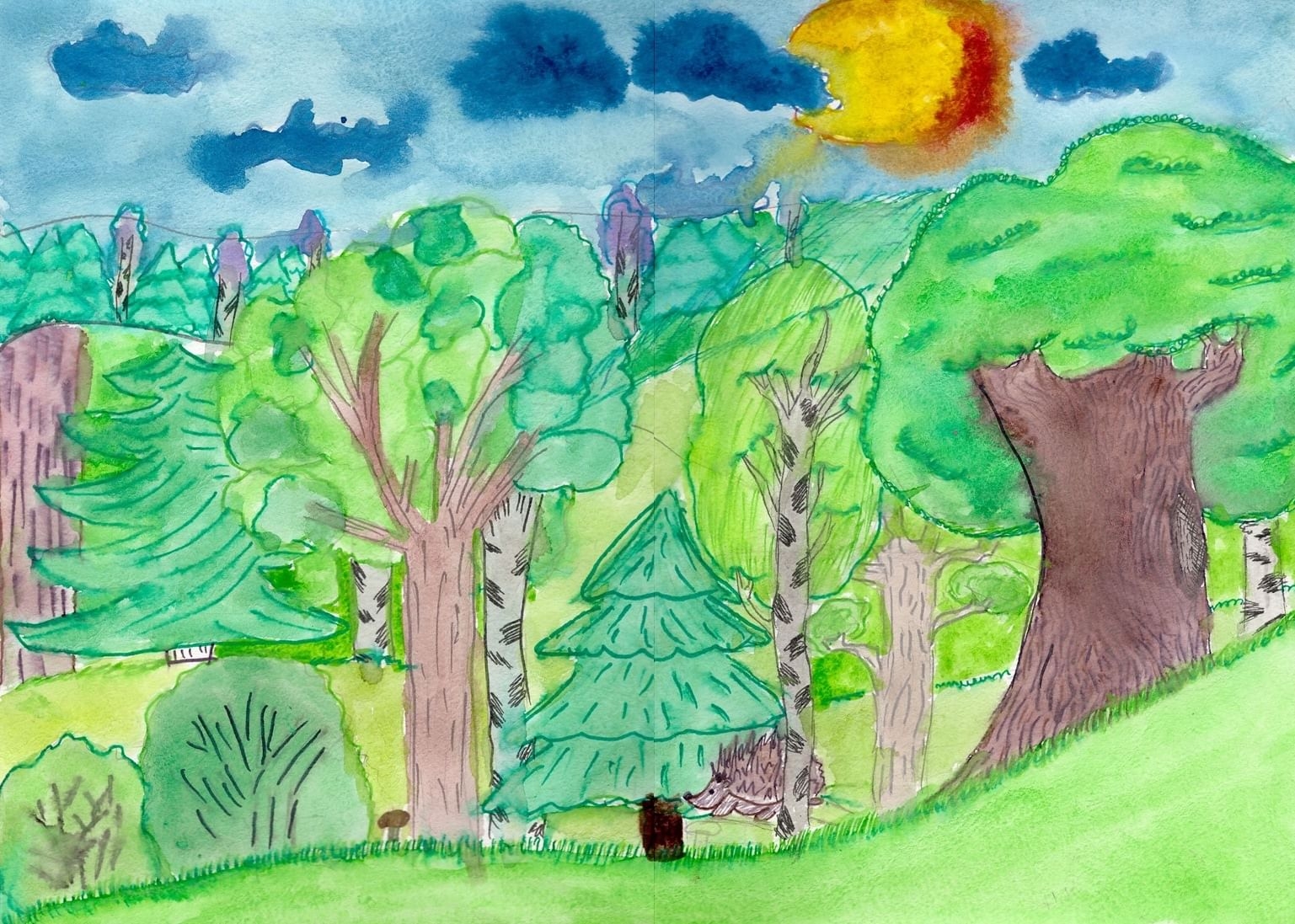 Рисунок лес глазами детей. Рисунок леса. Рисунок на тему лес. Детский рисунок леса. Детские рисунки лес.