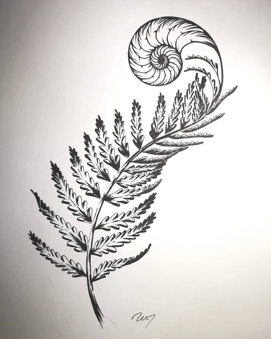 Как правильно нарисовать растение