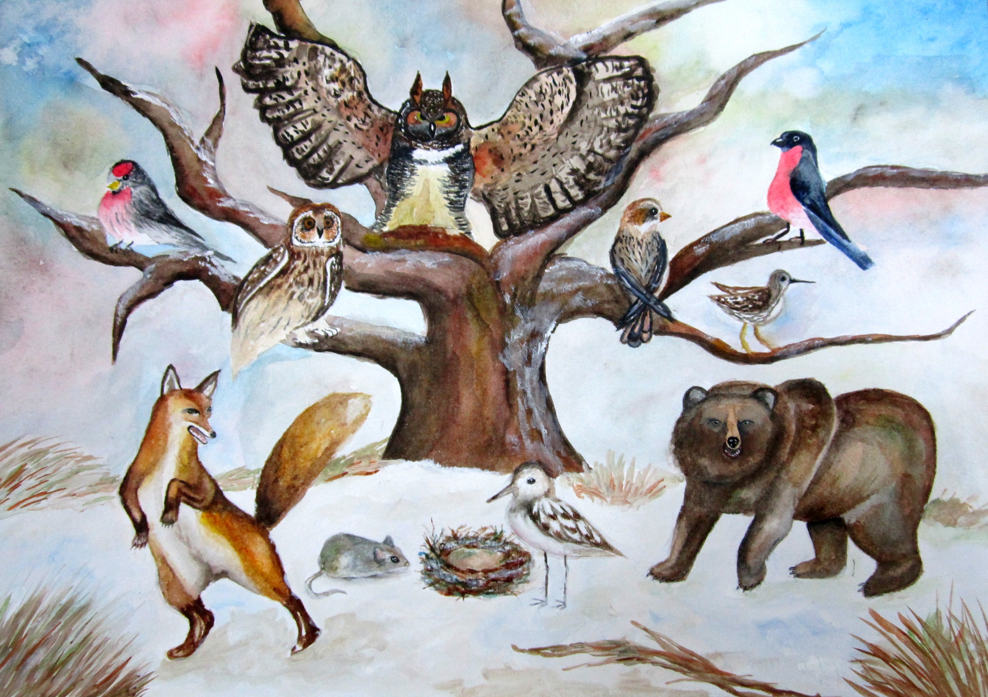 Птицы и животные какой жанр. Животных и птиц. Про птиц и зверей. Рисунки животных и птиц.