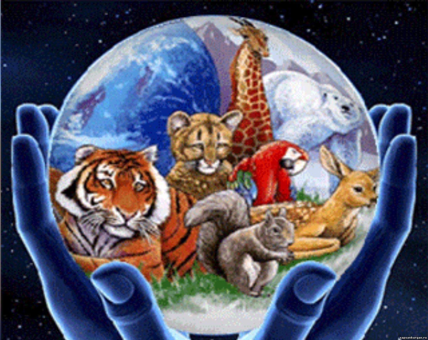 4 октября всемирный день животных 2921 картинки