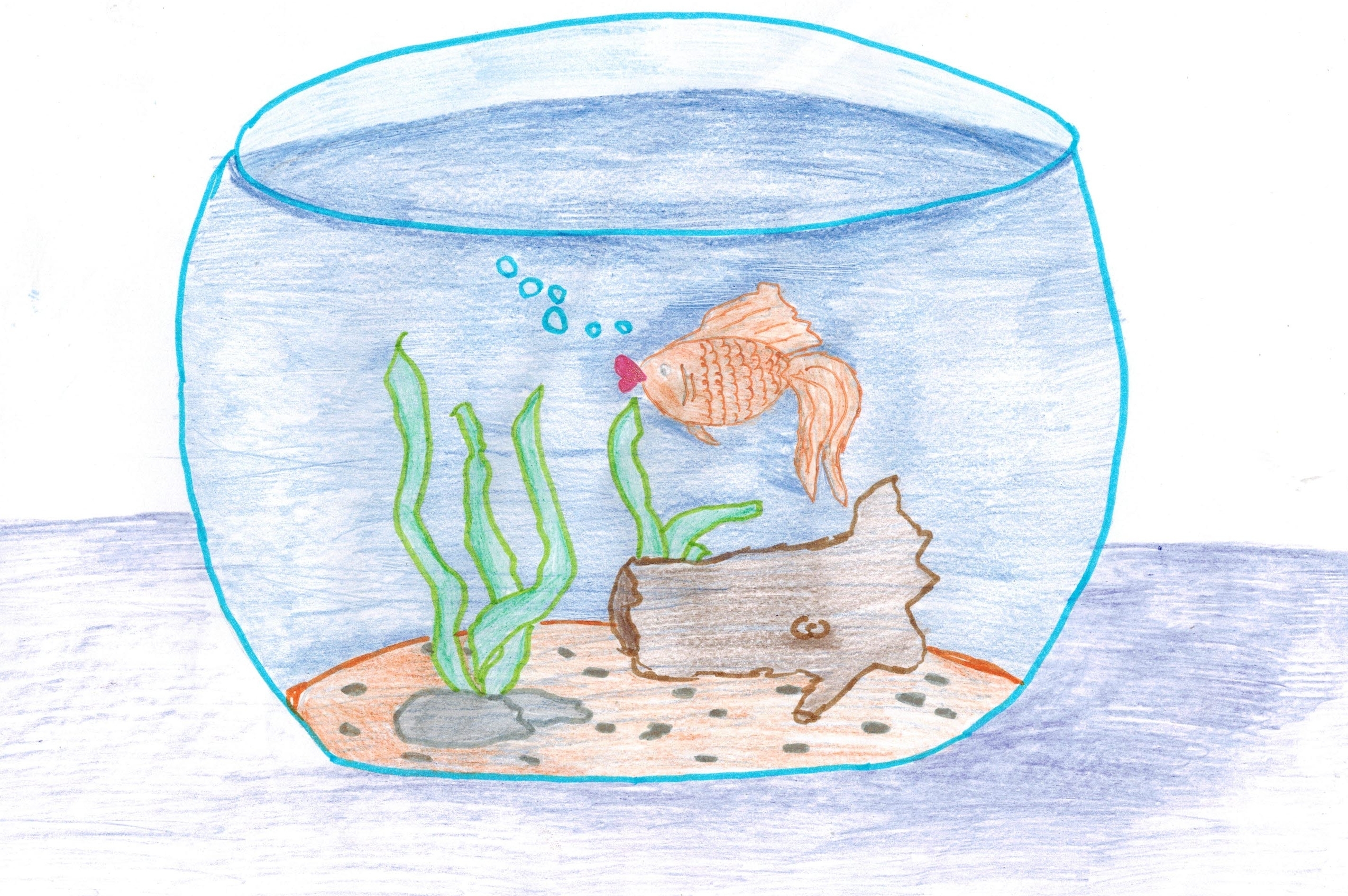 Рисования рыбки плавают в аквариуме. Сен Санс аквариум. Иллюстрация к пьесе сен Санса аквариум. Рисование для детей рыбки в аквариуме. Рыбки в аквариуме рисование.