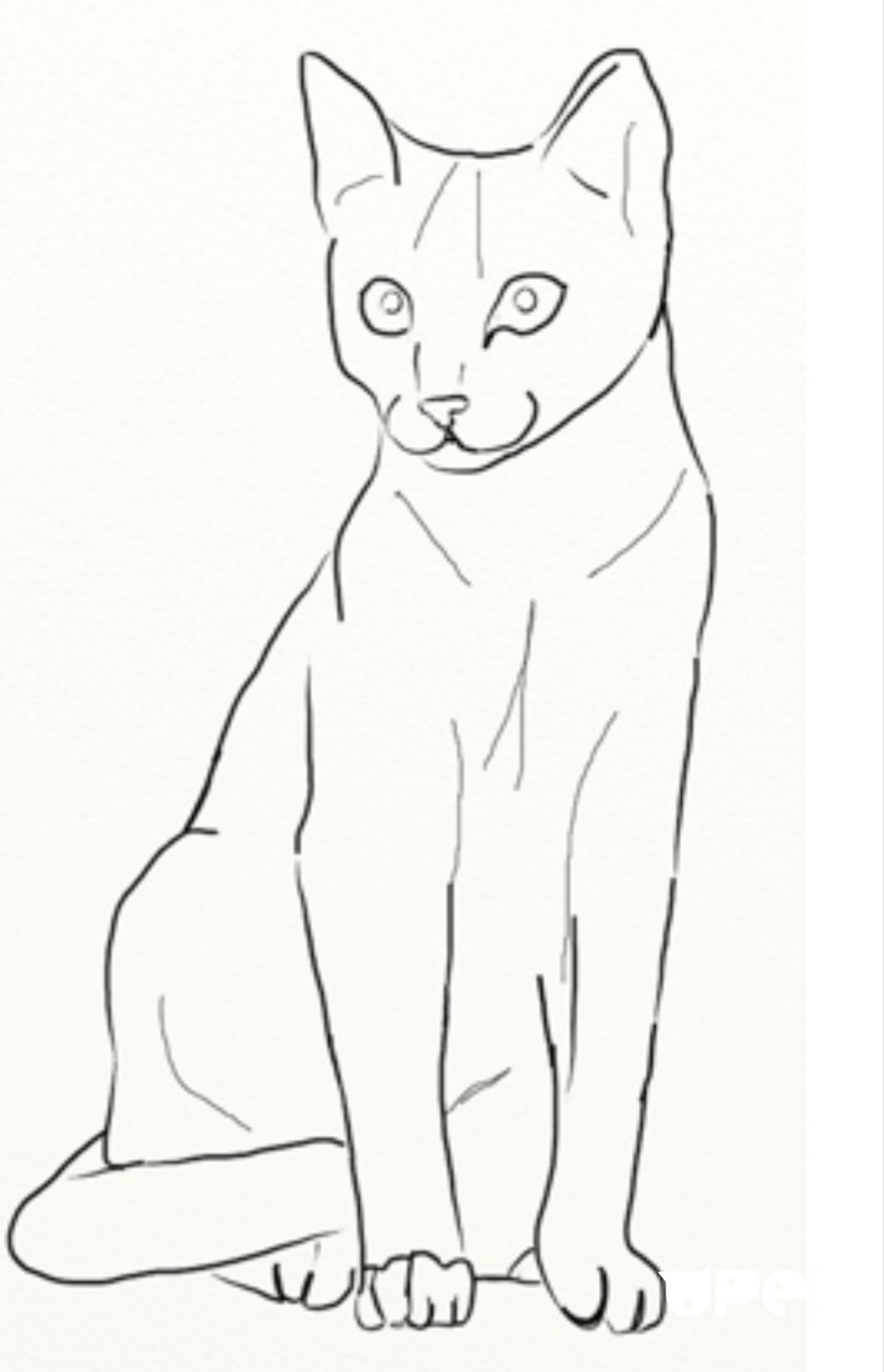 сидячий кот нарисовать
