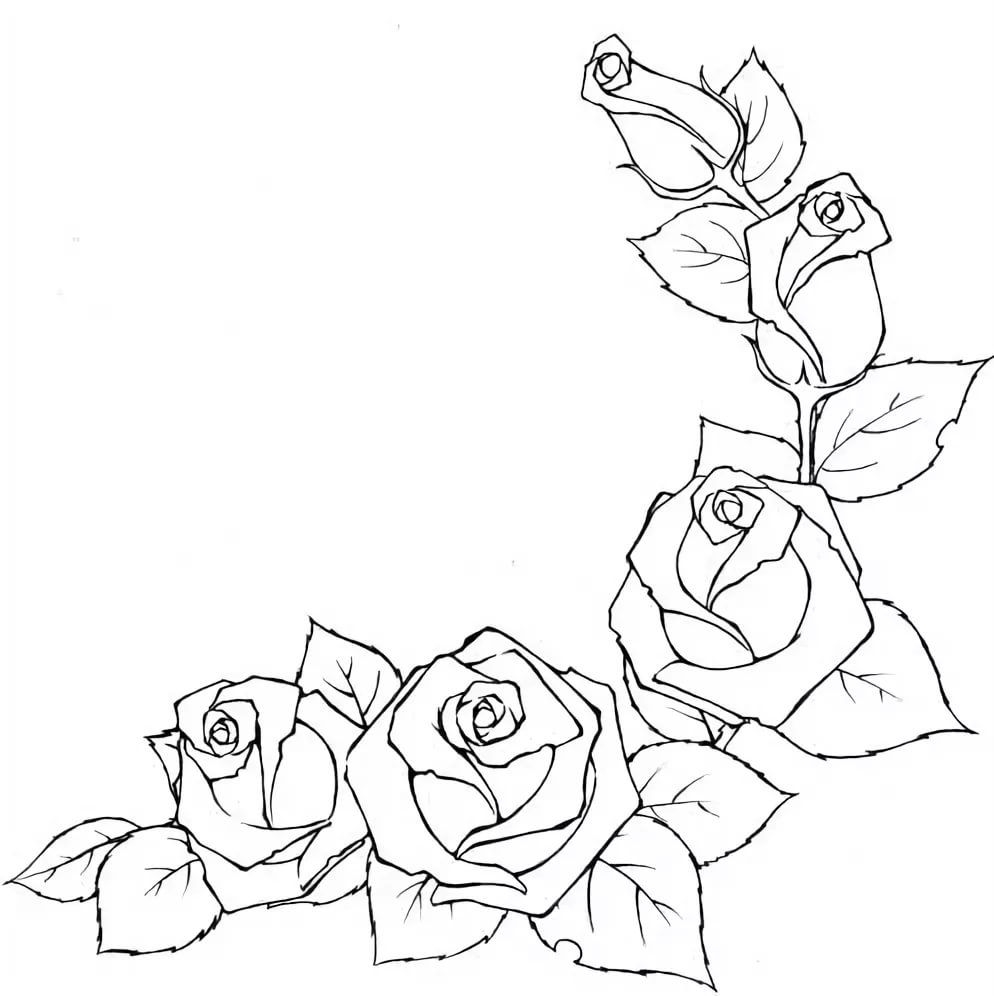 Букет роз карандашом для срисовки - 89 фото