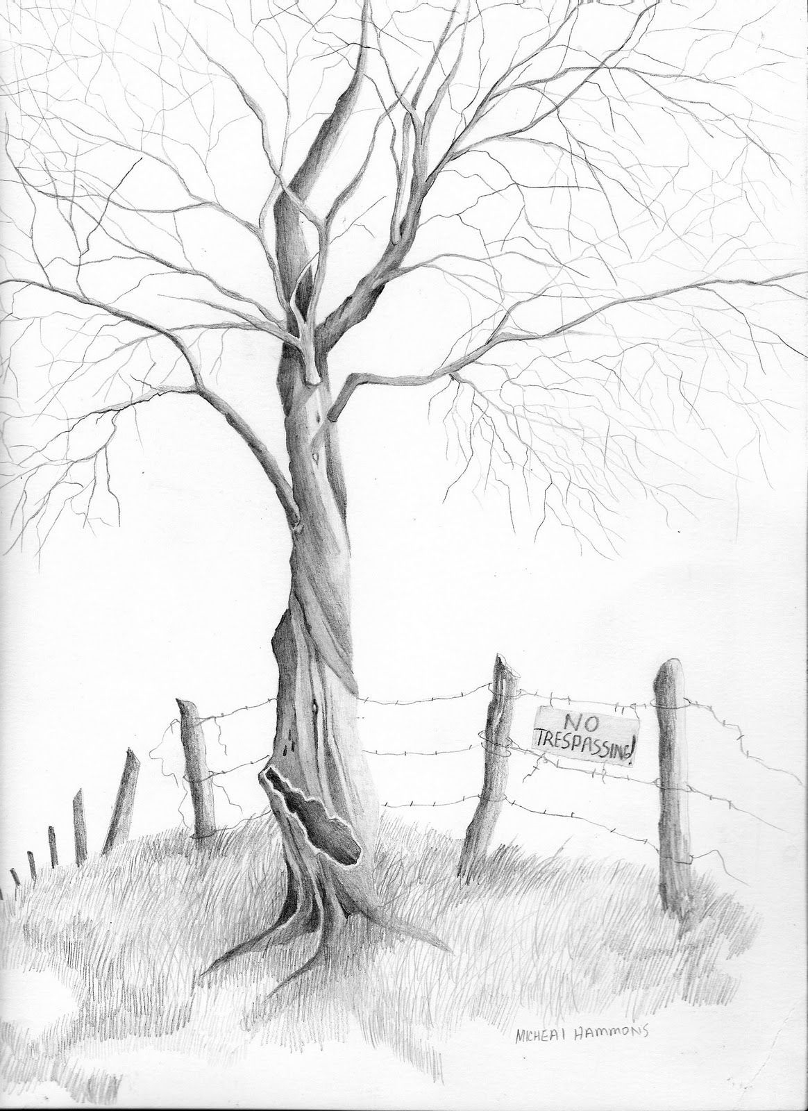 Срисовки природы легко. Пейзаж карандашом. Дерево карандашом. Зарисовки деревьев карандашом. Рисунок дерева для срисовки.