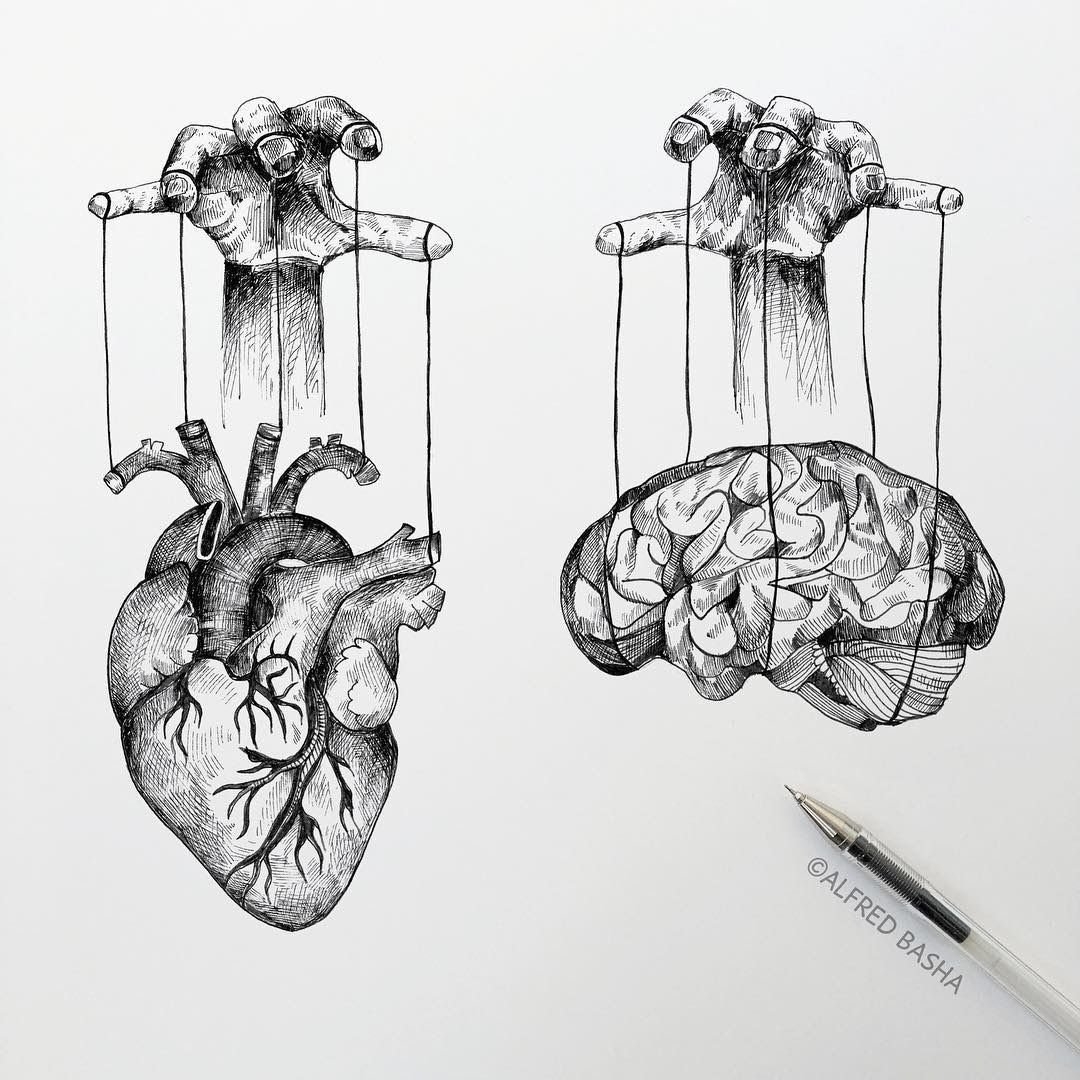 Рисунки карандашом человеческое сердце (56 фото)