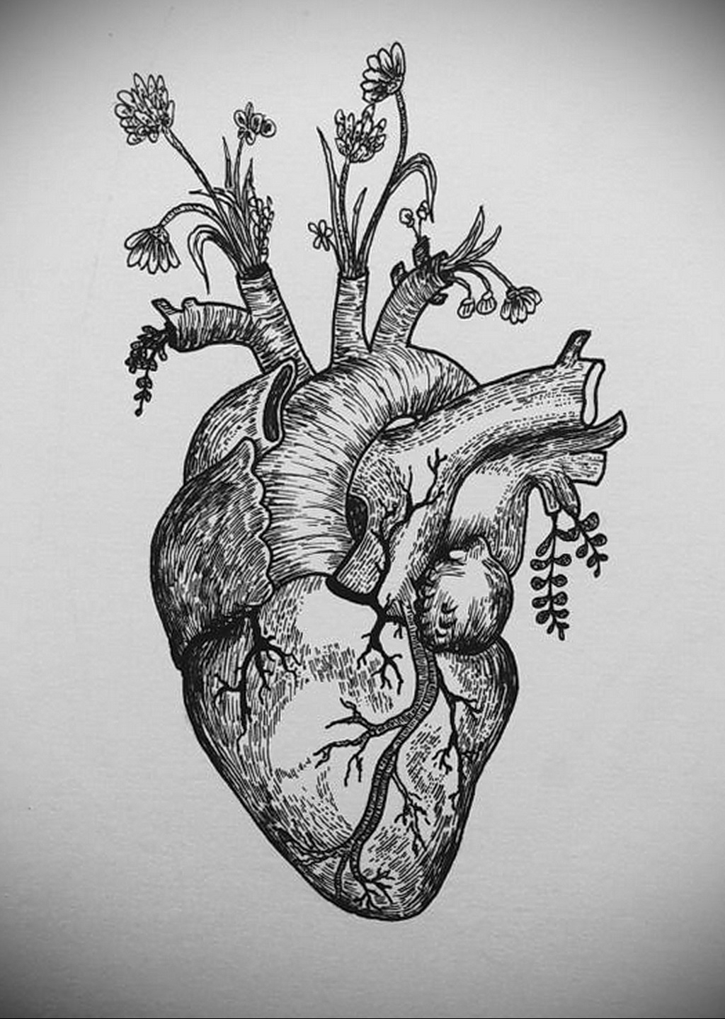 Векторы по запросу Татуировка человеческое сердце