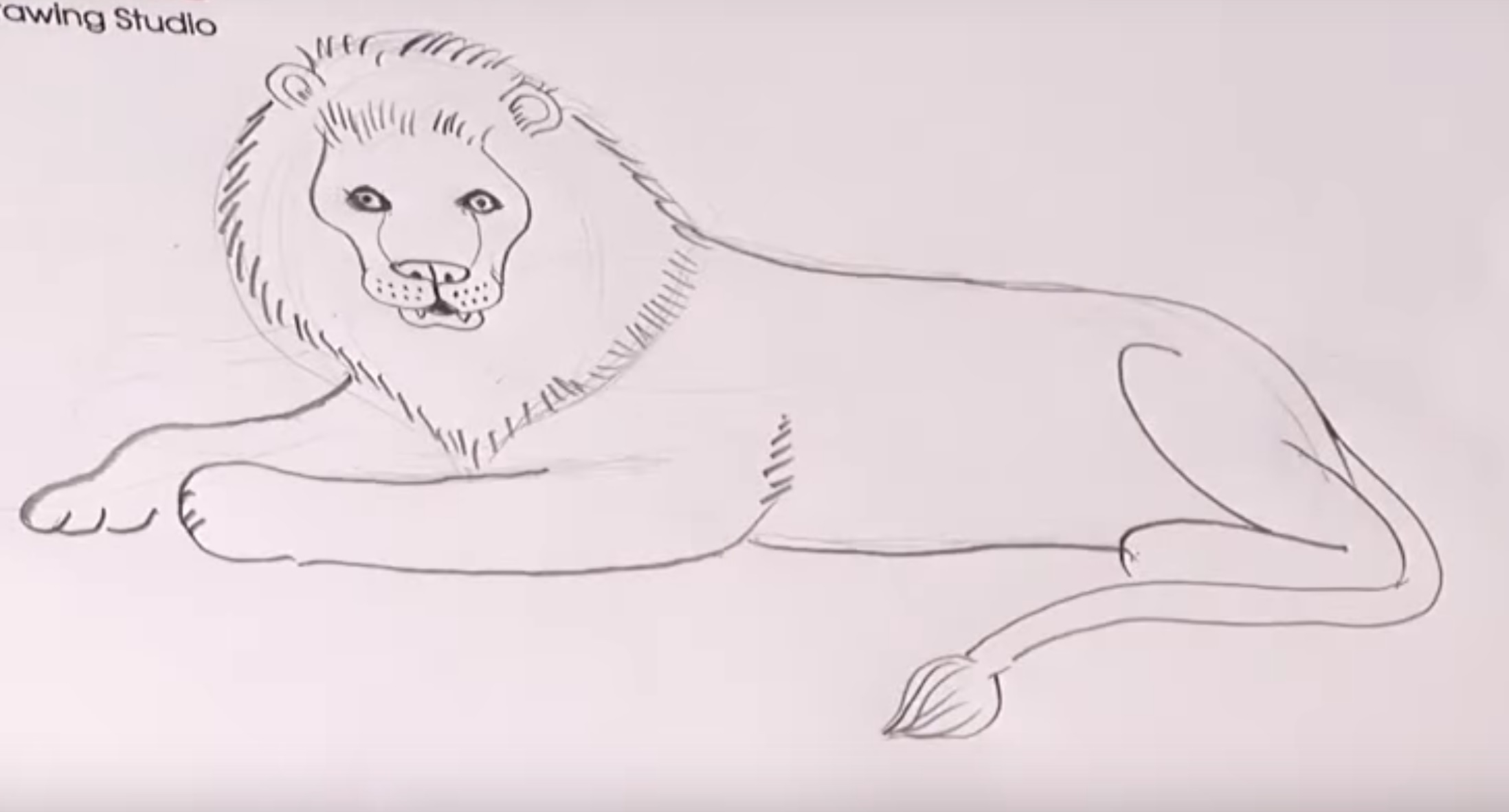 Как нарисовать льва карандашом поэтапно