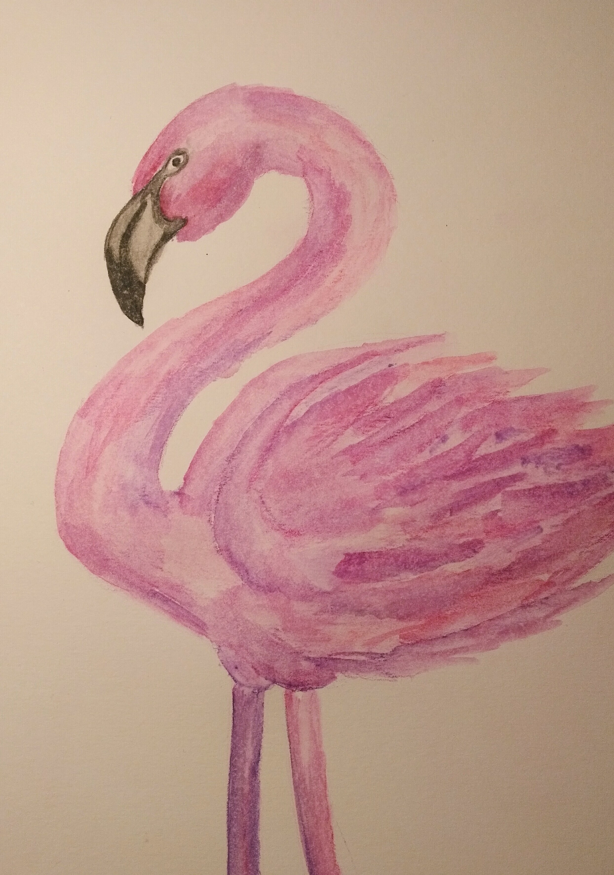 Фламинго легко. Flamingo f026. Фламинго карандашом. Фламинго рисунок. Фламинго рисовать.