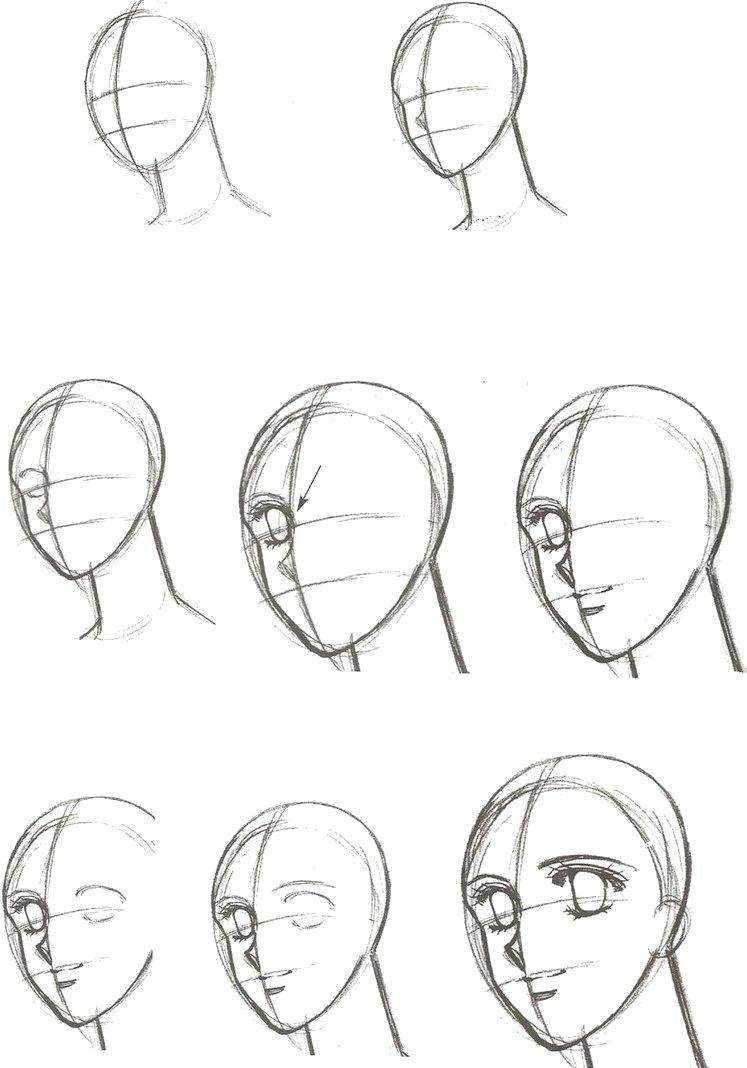 Рисунок головы человека поэтапно