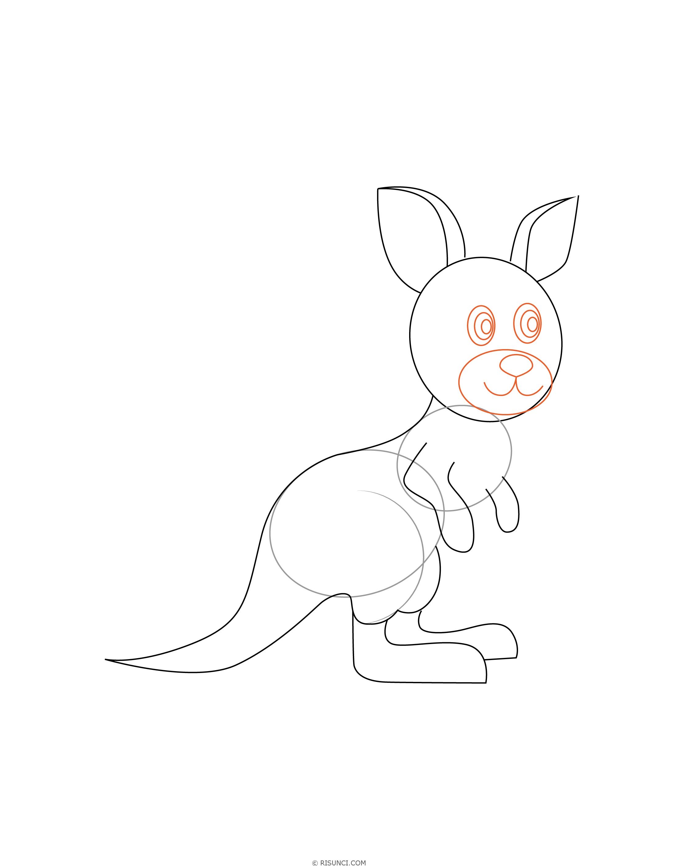 Как нарисовать кенгуру реалистически