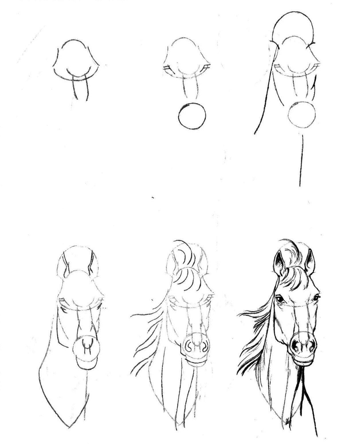 Пошаговое рисовать. Л. Эймис "рисуем 50 лошадей". Эймис л. "рисуем 50 собак". Эймис л. "рисуем 50 чудищ". Рисунки лёгкие и красивые.