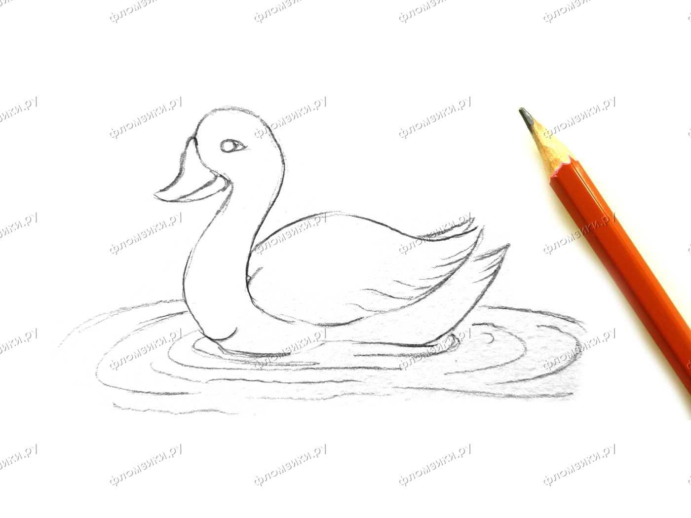 Как нарисовать утку| Рисунок утки на графическом планшете