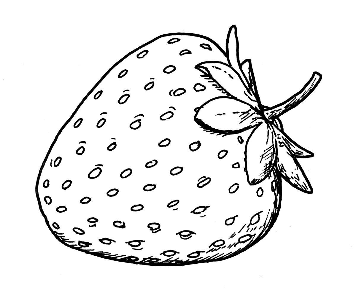 Рисунок-схема на канве для вышивания «Урожай клубники». Артикул: СК