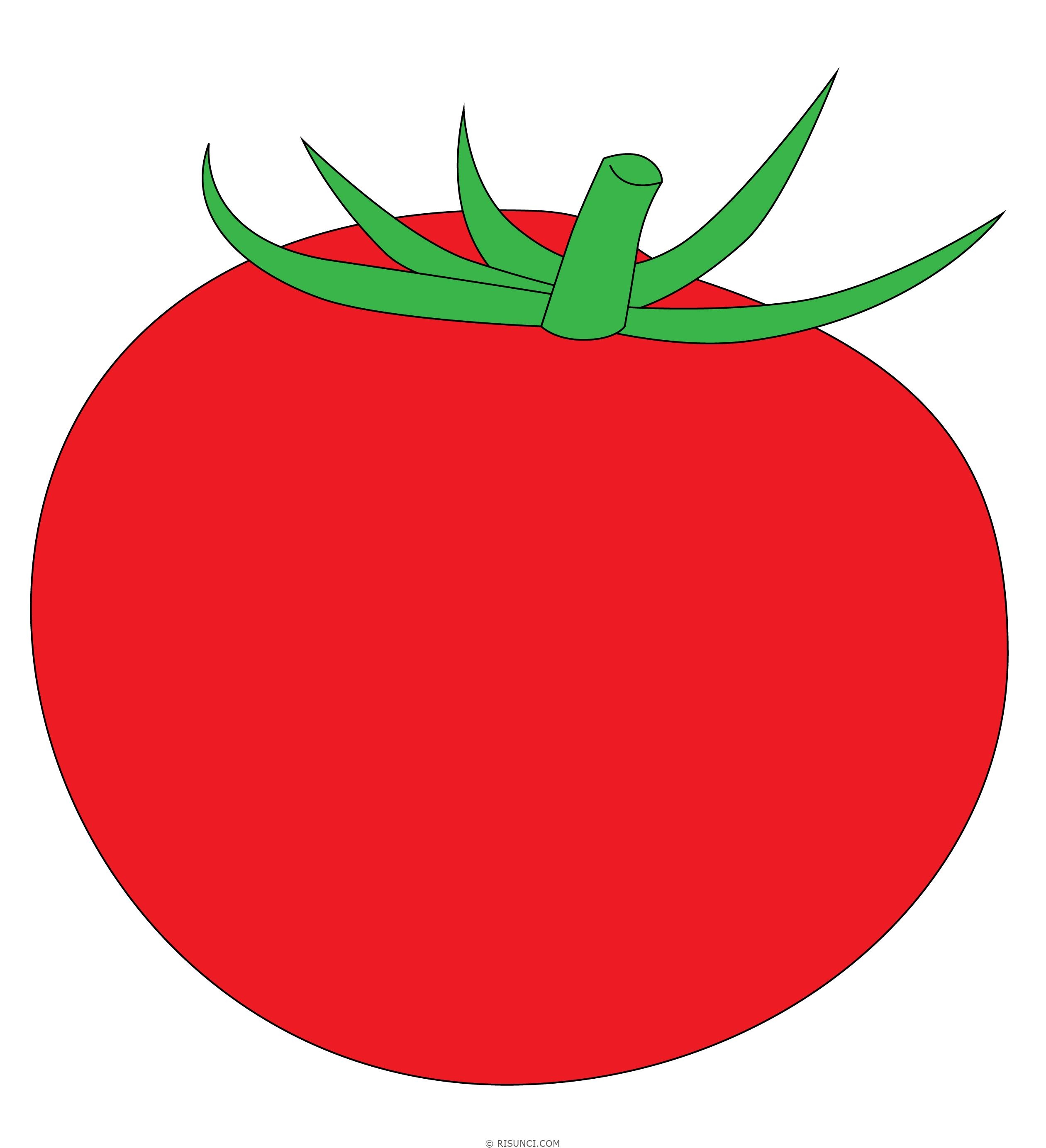 помидор картинки нарисованные