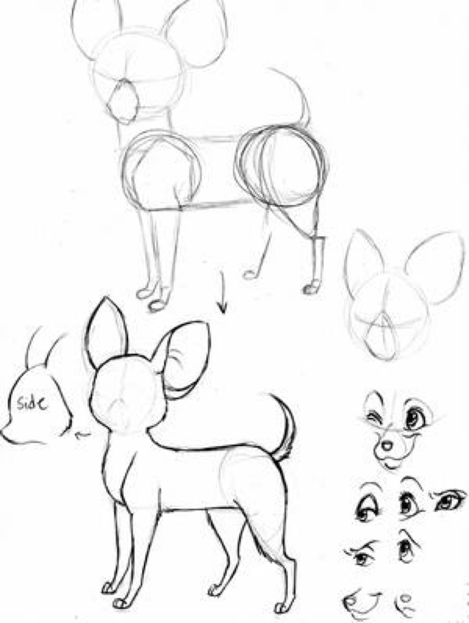 Как нарисовать собаку из мультфильма «Лис и пёс»: поэтапный урок рисования карандашом