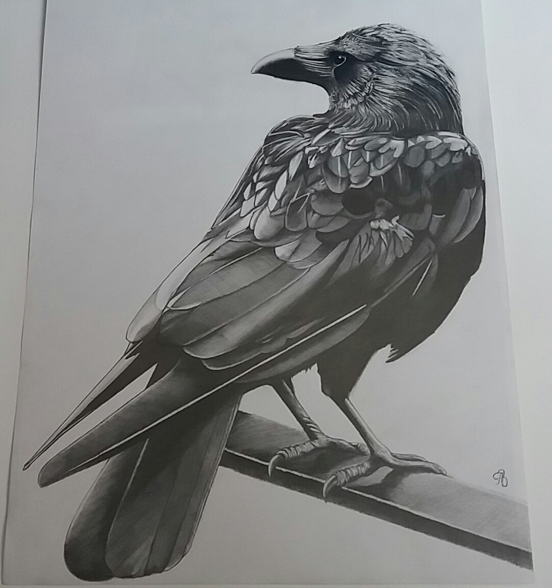 Ворона карандашом