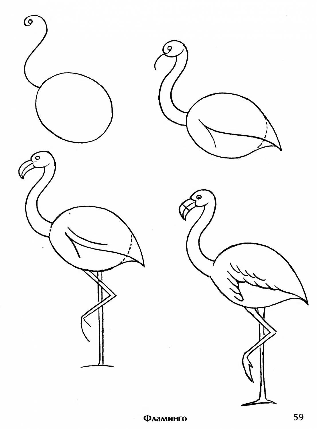 Учимся рисовать фламинго поэтапно: рисование карандашом своими руками