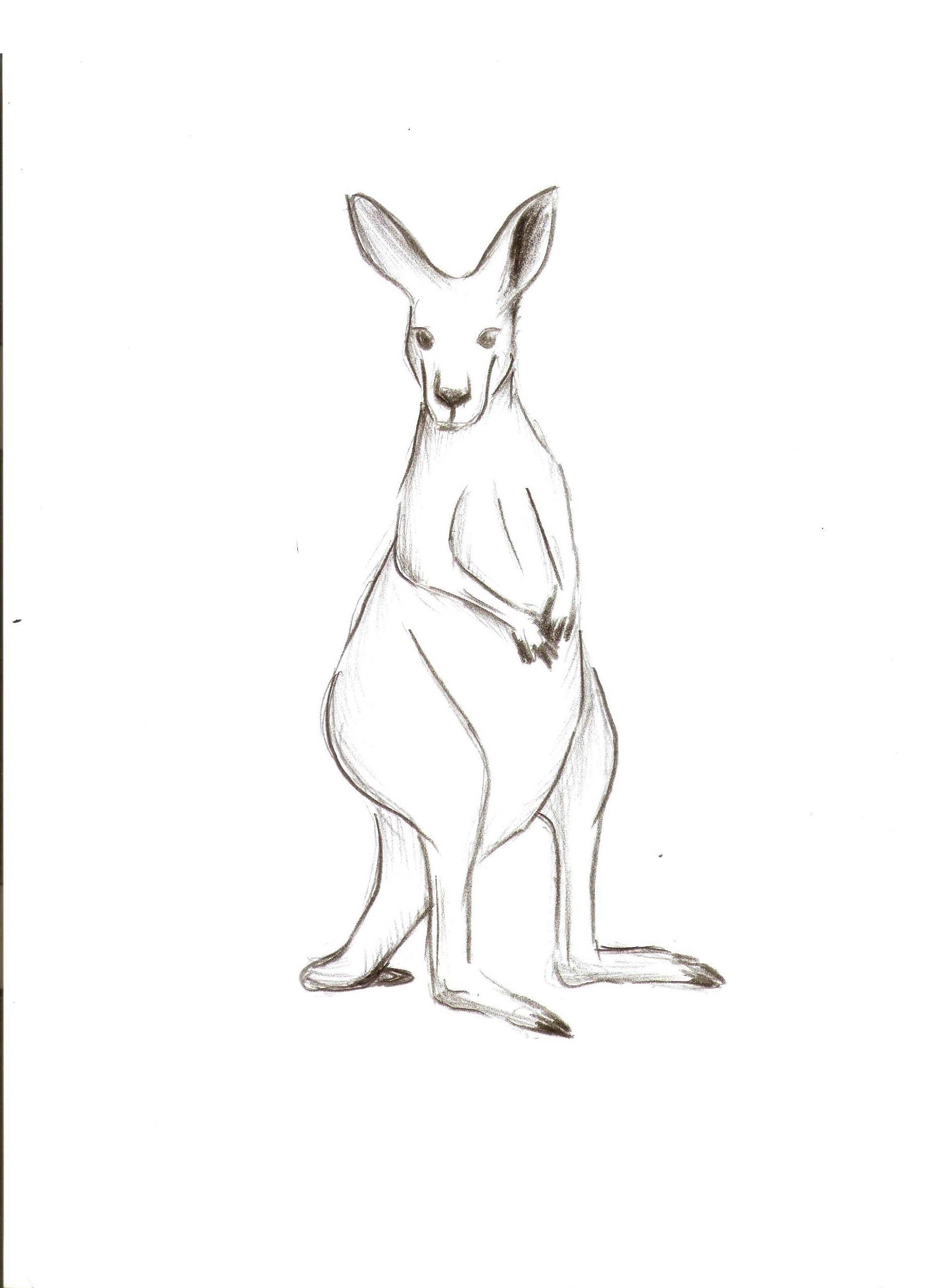 Как нарисовать кенгуру по имени Peachy из мультфильма My Littlest Pet Shop карандашом поэтапно